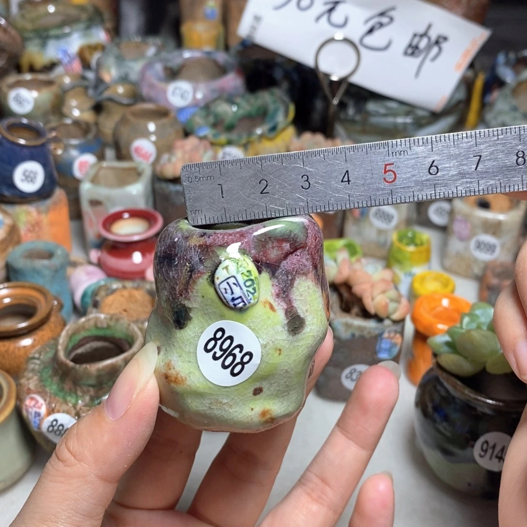 拍2送一个小礼物