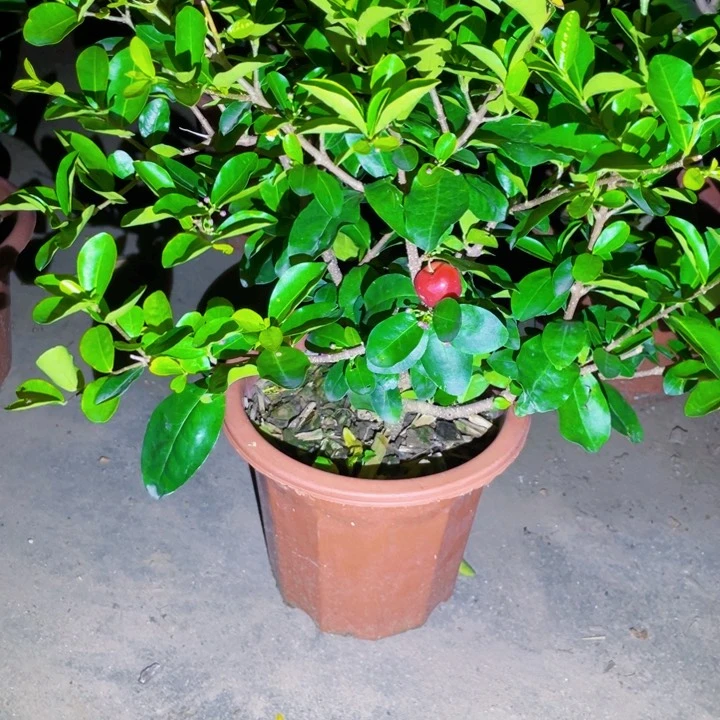 下***了在干嘛我不去上班这样你说了你不相信就