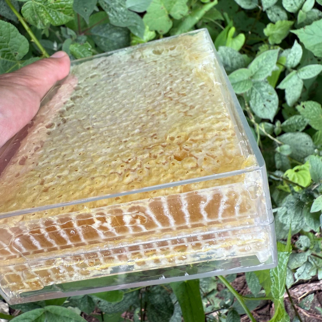 【蜂巢蜜】江西土蜂蜜新品百花蜜深山天然成熟农家自产自销