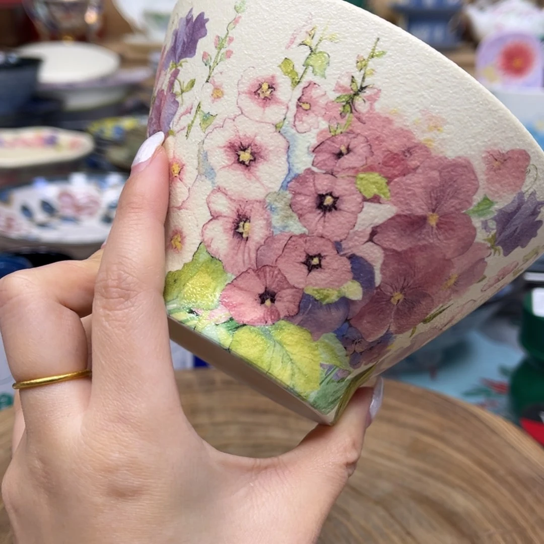 我的姐姐们好可爱