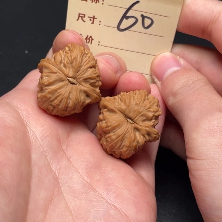 把件文玩核桃白狮子31尺全品白茬60