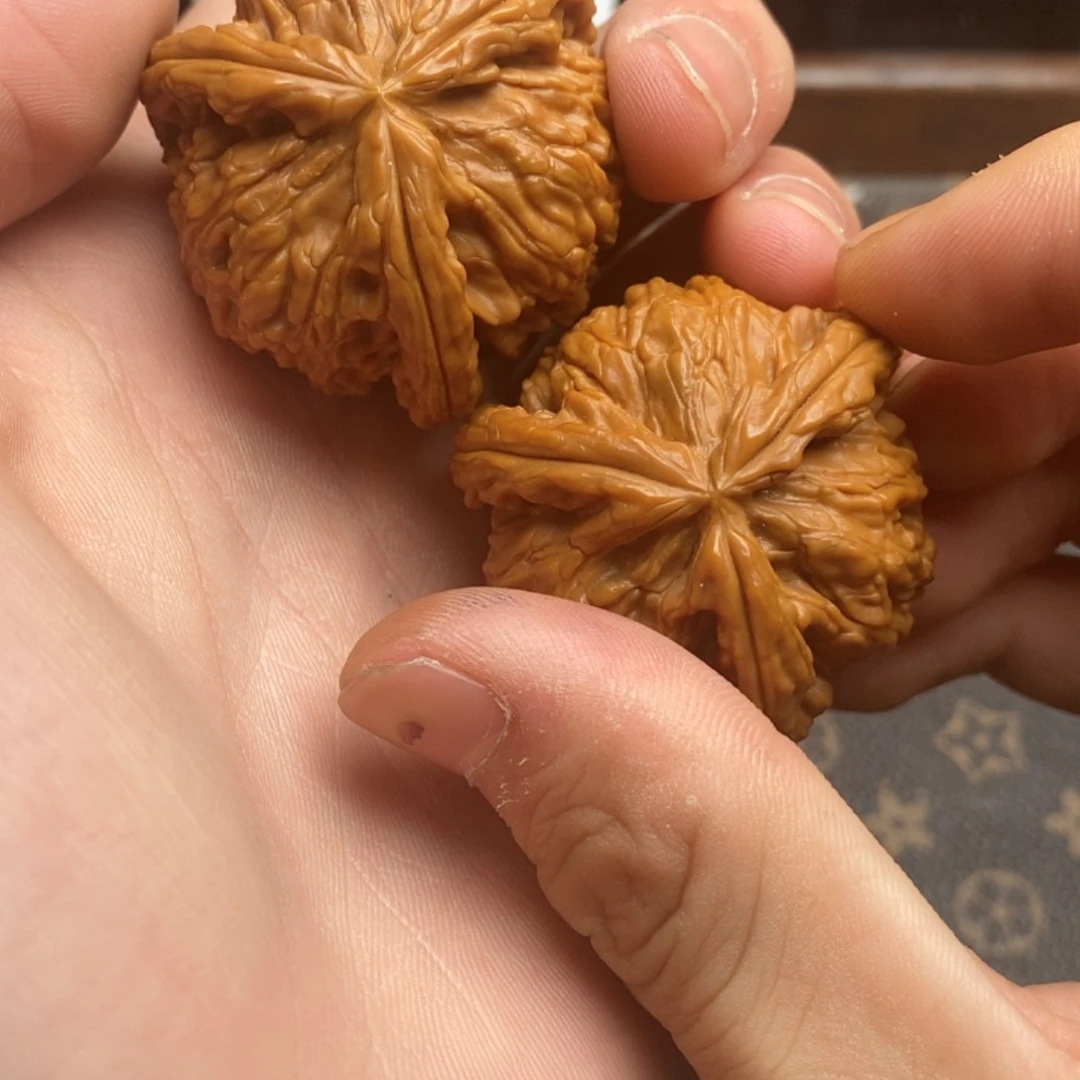 晓**學白狮子111111111111111