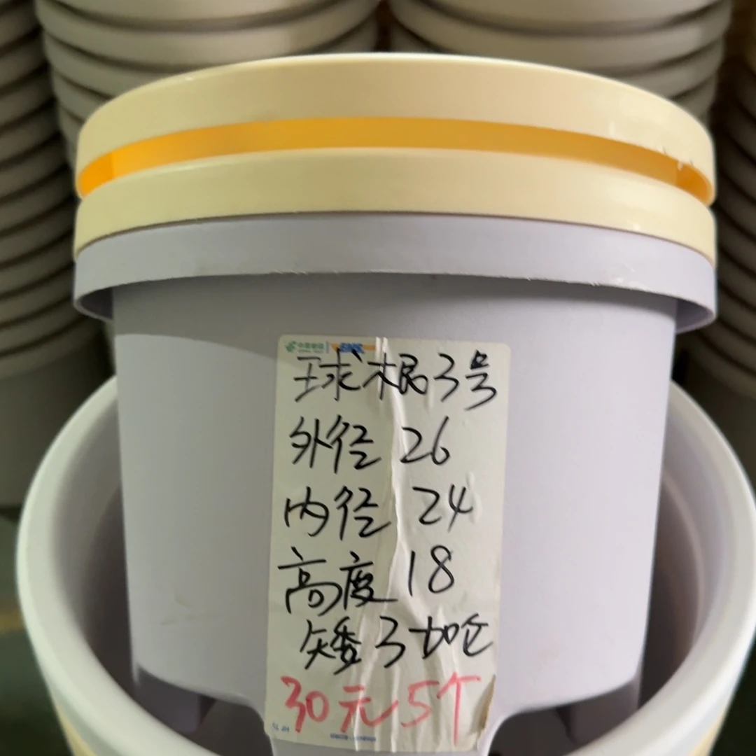 球根3#口径26高18无拖灰白5个