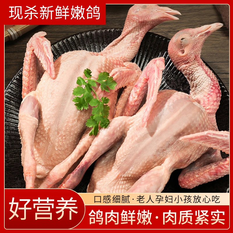 【新店福利】精品大土鸽精品乳鸽草鸽五谷喂养散养散放红烧清蒸煲汤