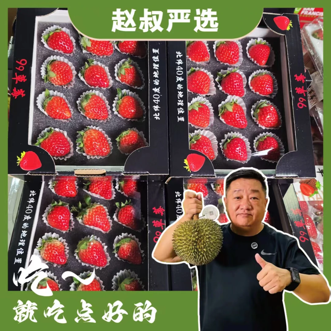 【赵叔严选】丹东99草莓新鲜现摘 11/15粒 鲜果现发 辽宁省辽宁省