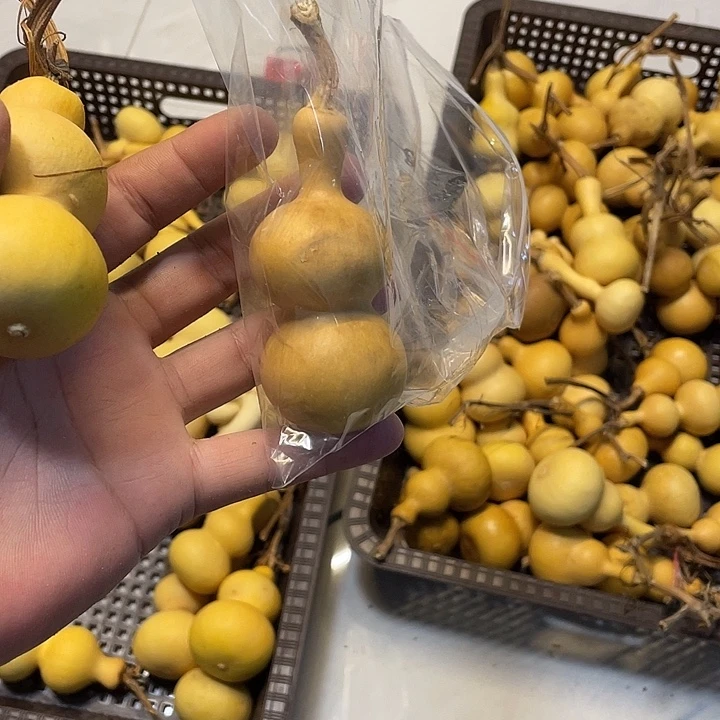 鄠***刘感谢大哥支持 爱你