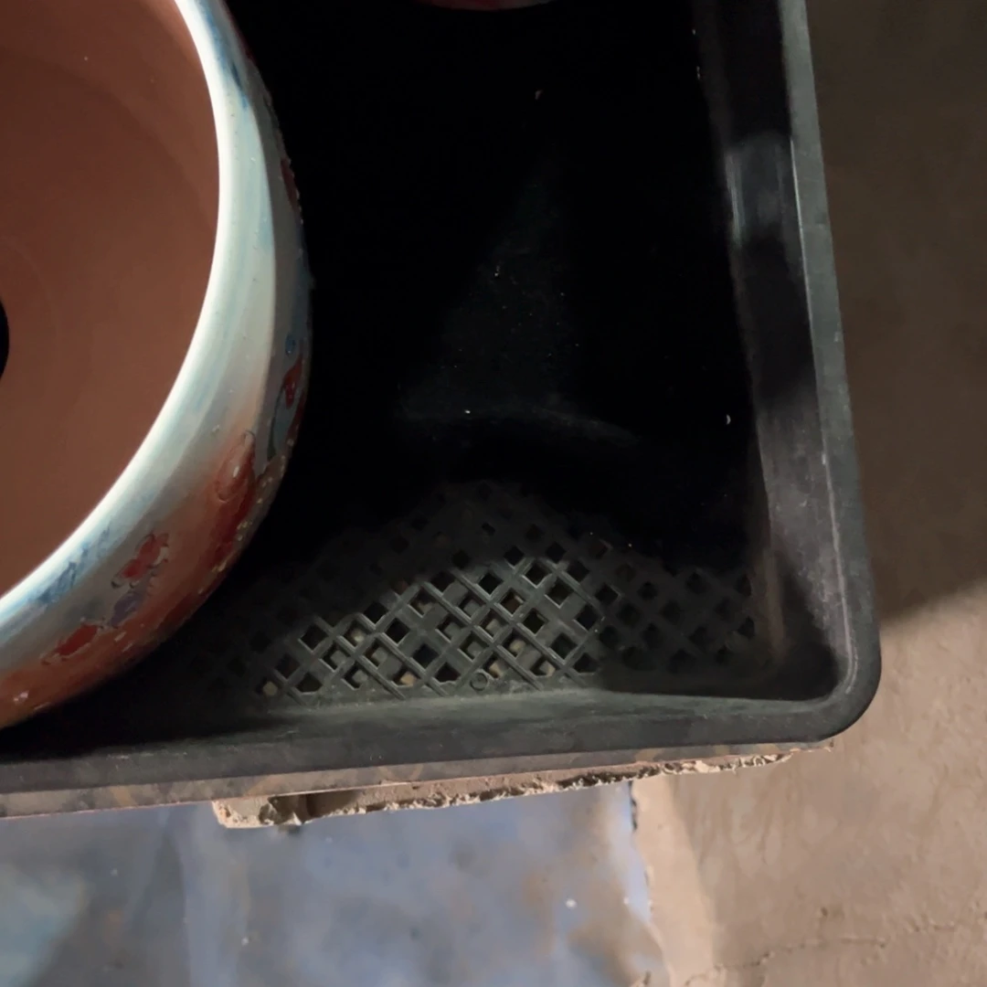 ?****市子拍多肉花盆