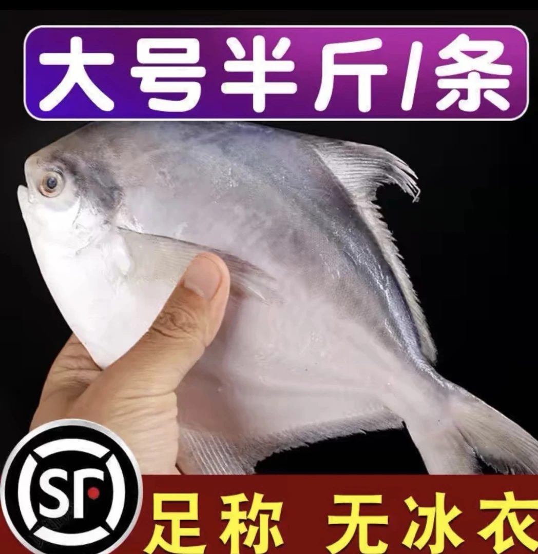 冰鲜大银鲳鱼 5两一条规格（到手6条）液氮锁鲜发货