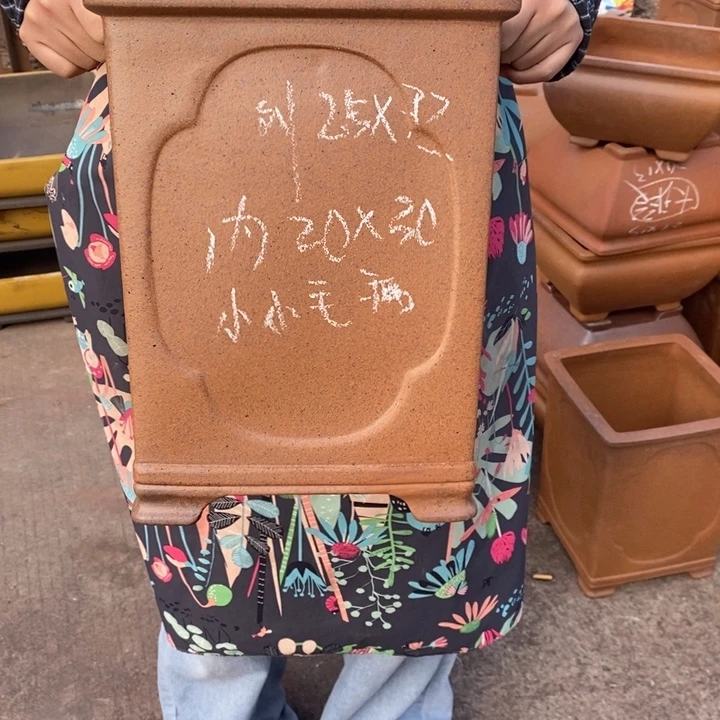 紫砂花盆只顾吃药睡