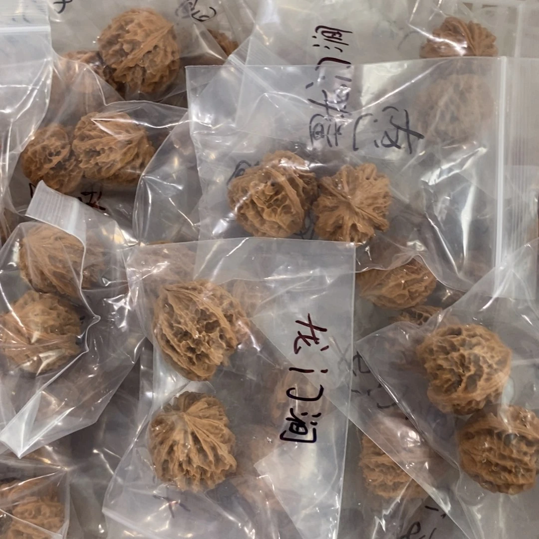 文玩核桃吊坠假龙门涧