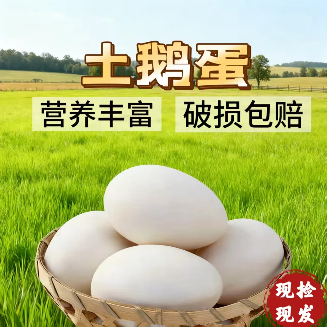 新店福利-农户自养新鲜现捡土鹅蛋孕妇精选破损包赔