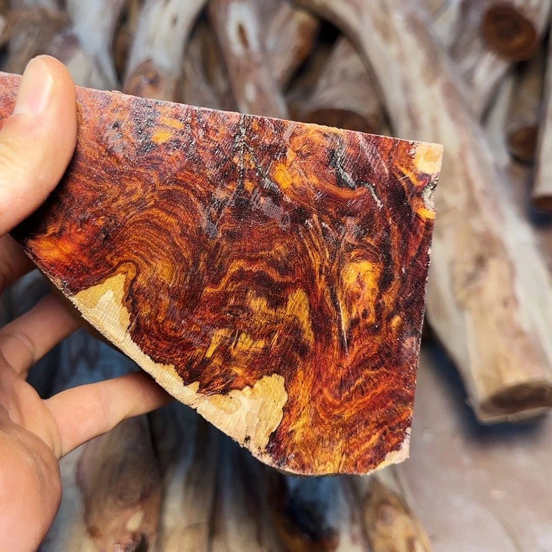 黄花梨/降香黄檀?**蜂