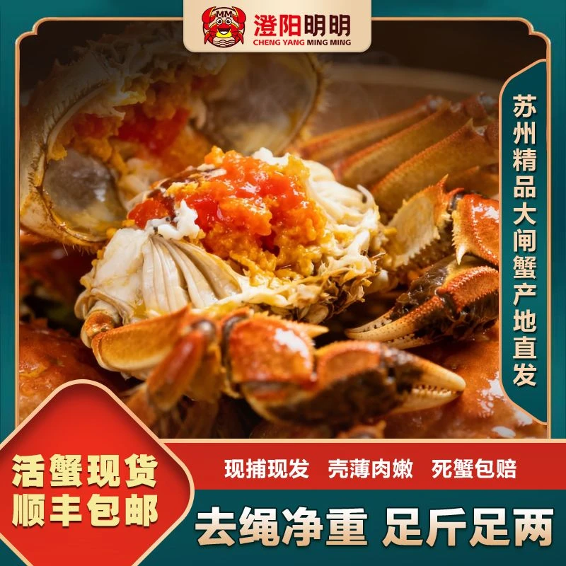 【正宗苏州大闸蟹】活蟹5两公蟹+4两母蟹10只塘养顺丰直发