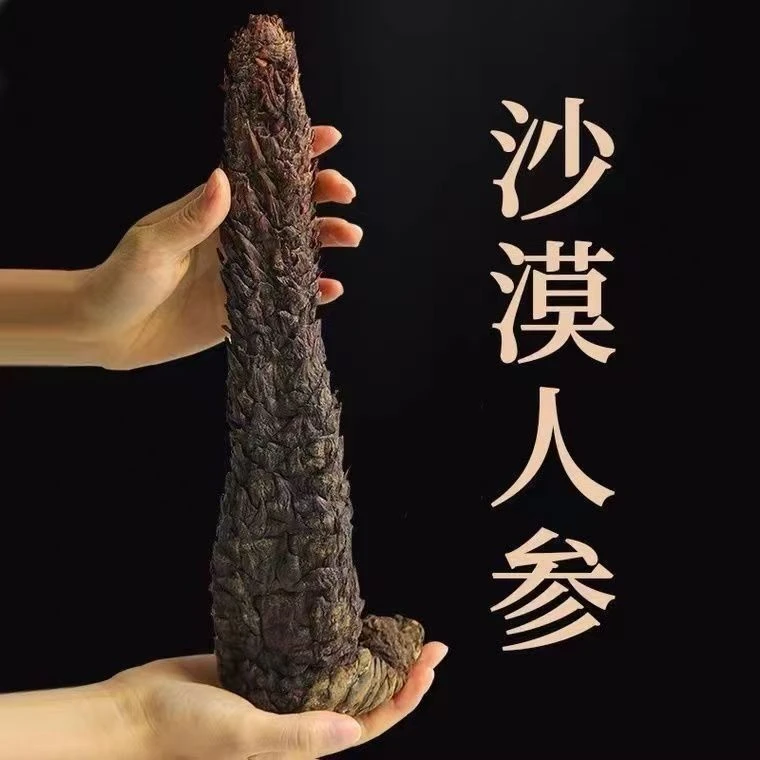现泽堂肉苁蓉内蒙阿拉善油苁蓉整根软大芸油从蓉切片泡水煲汤泡酒