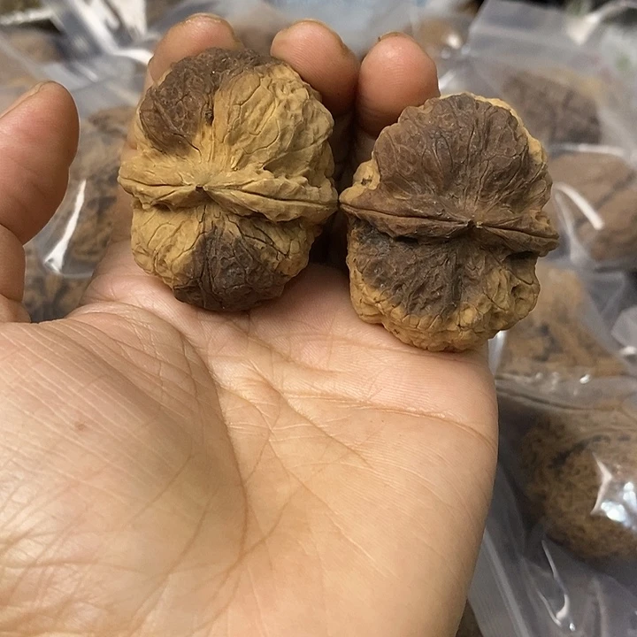 核桃云南铁核桃基地9