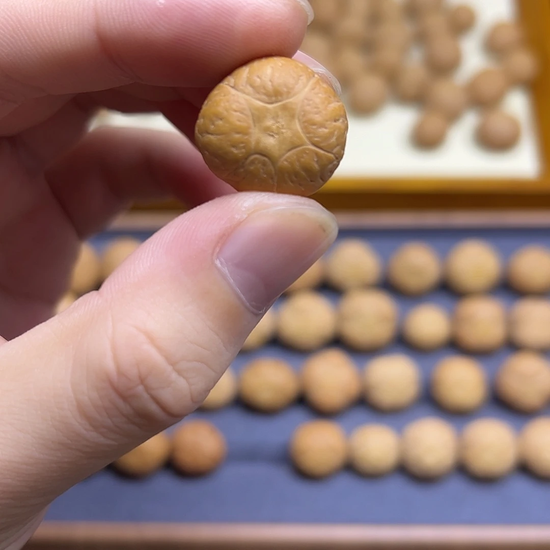 吊坠凤眼菩提20+五星上将