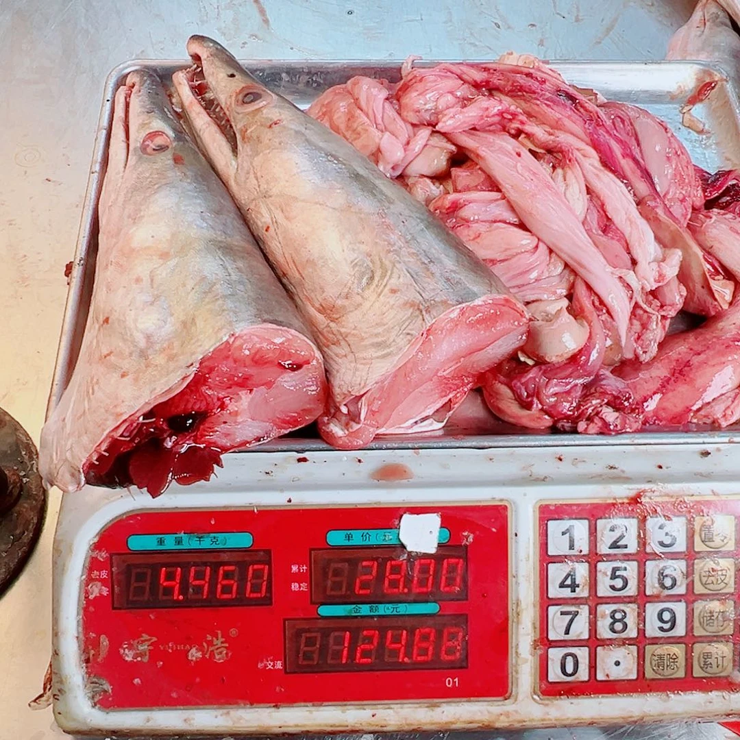 中国大陆鱼杂➕鳗鱼头