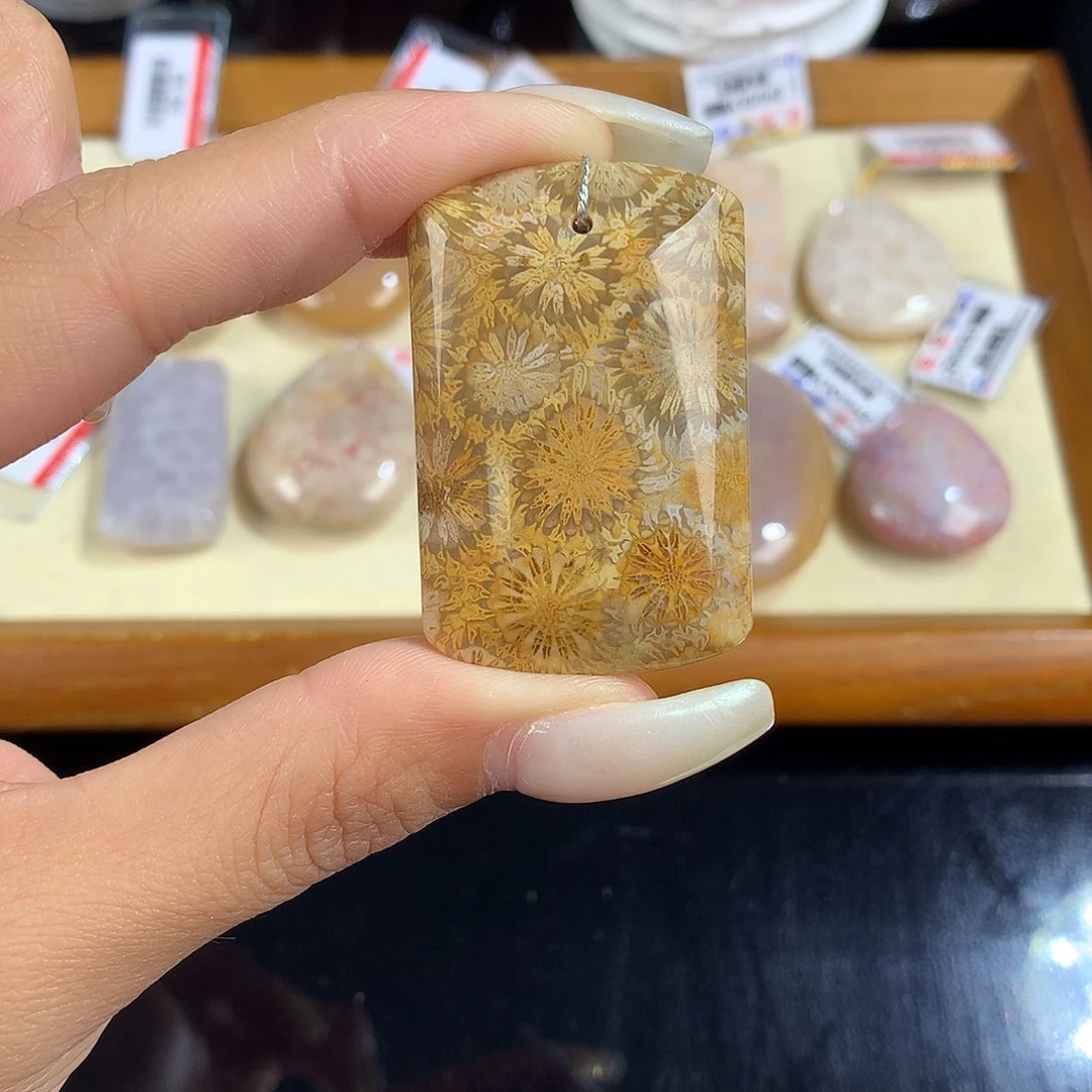 吊坠(赠链)未镶嵌硅化珊瑚（珊瑚玉）36号大花