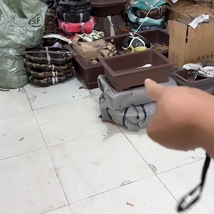 紫砂花盆友*紫砂的颜色很好看