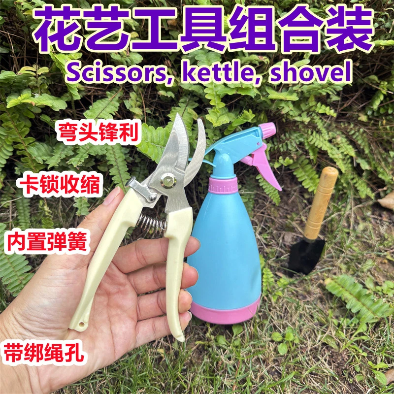 不锈钢家用强力园林园艺修枝剪家用省力修花修建树枝花卉剪刀