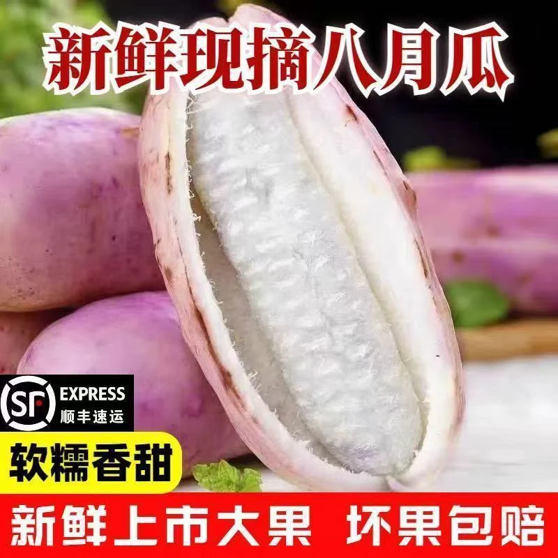 新鲜八月瓜云贵高原稀有水果现摘顺丰包邮网红水果八月炸三叶木通