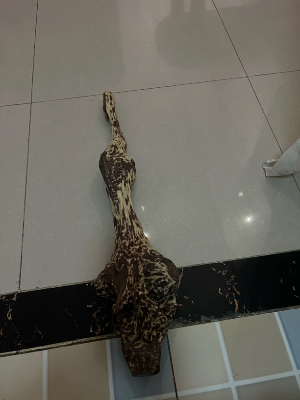 海南黄花梨紫油梨原材料