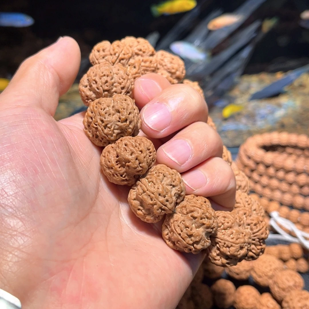 达***.手串金刚菩提尼泊尔金刚菩提子