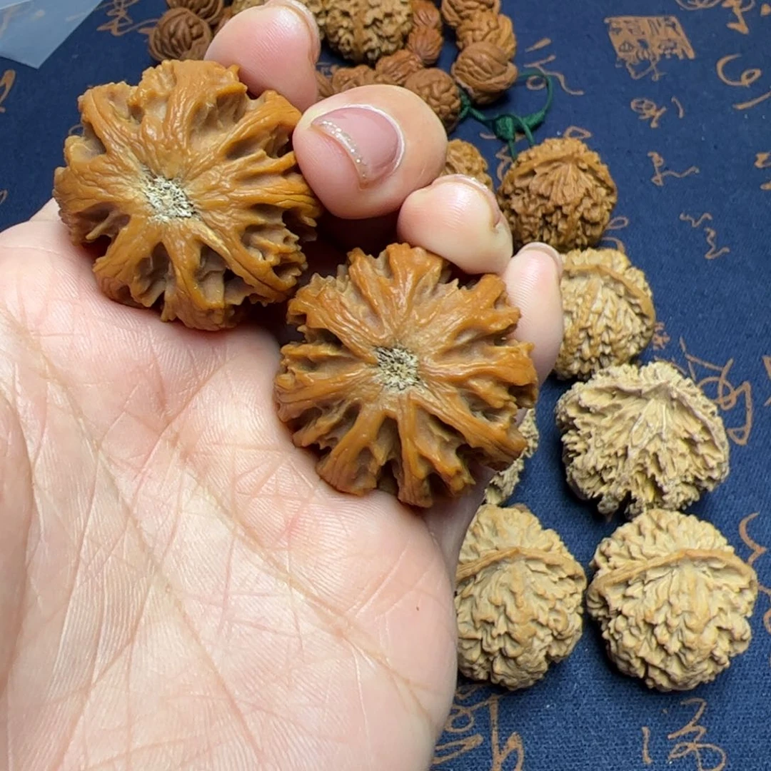 文玩核桃把件秦岭野生核桃