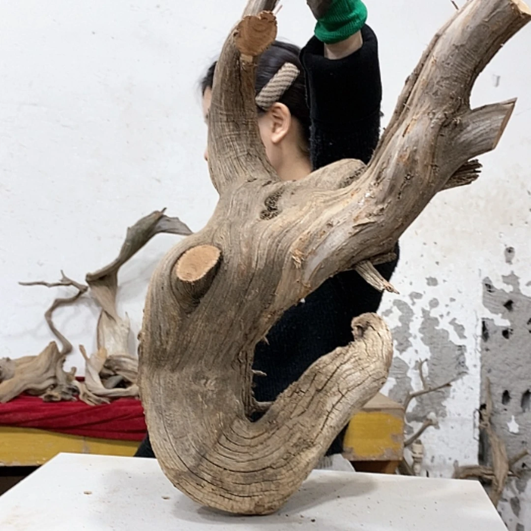 【闪购商品】柏木云***雕我们都是好孩子