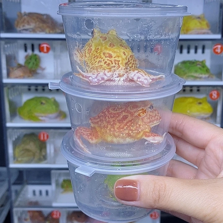 特价秒杀现货特价