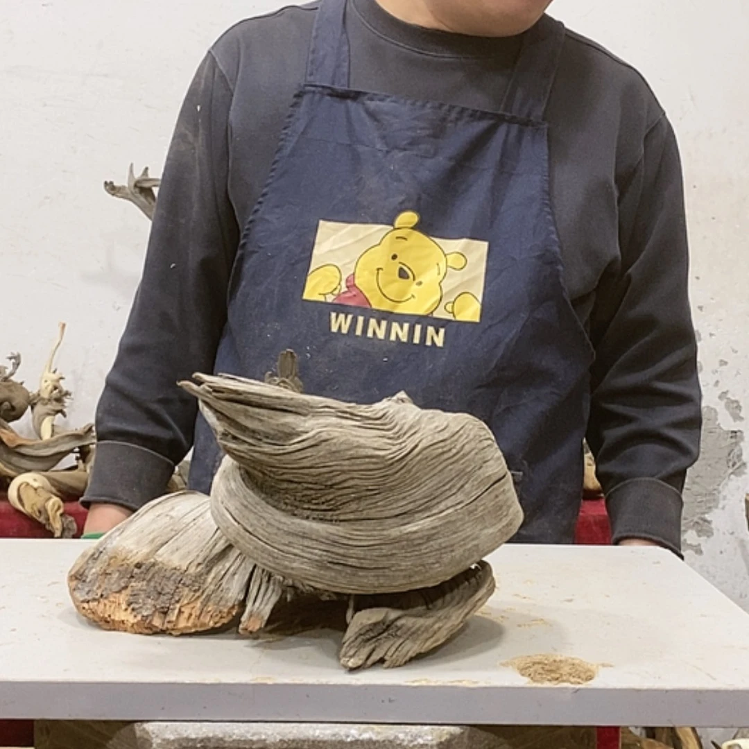 【闪购商品】柏木诚*我们都是好孩子