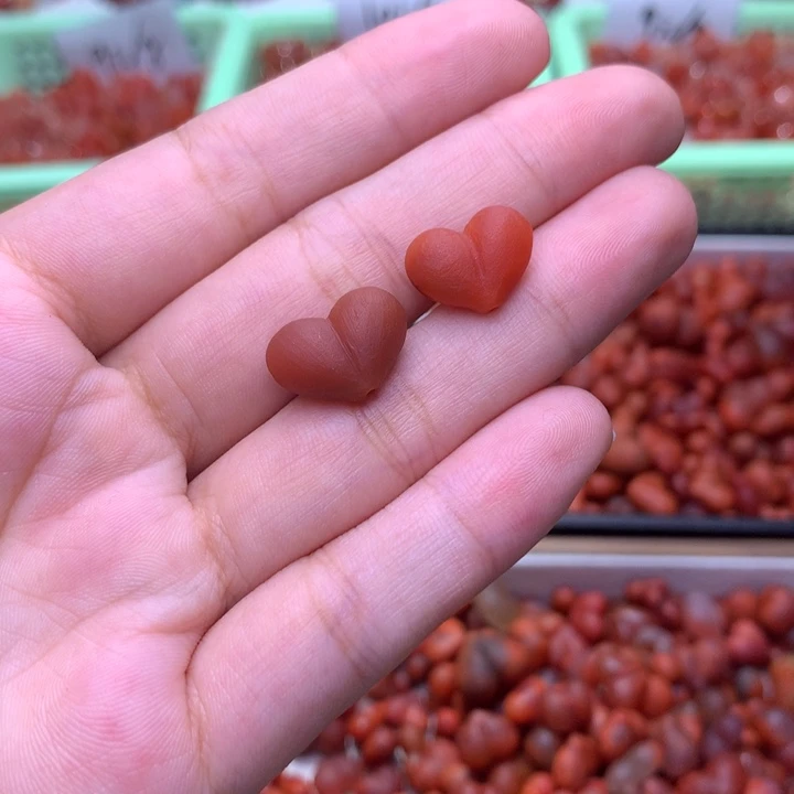 南红玛瑙未镶嵌珠宝半成品53