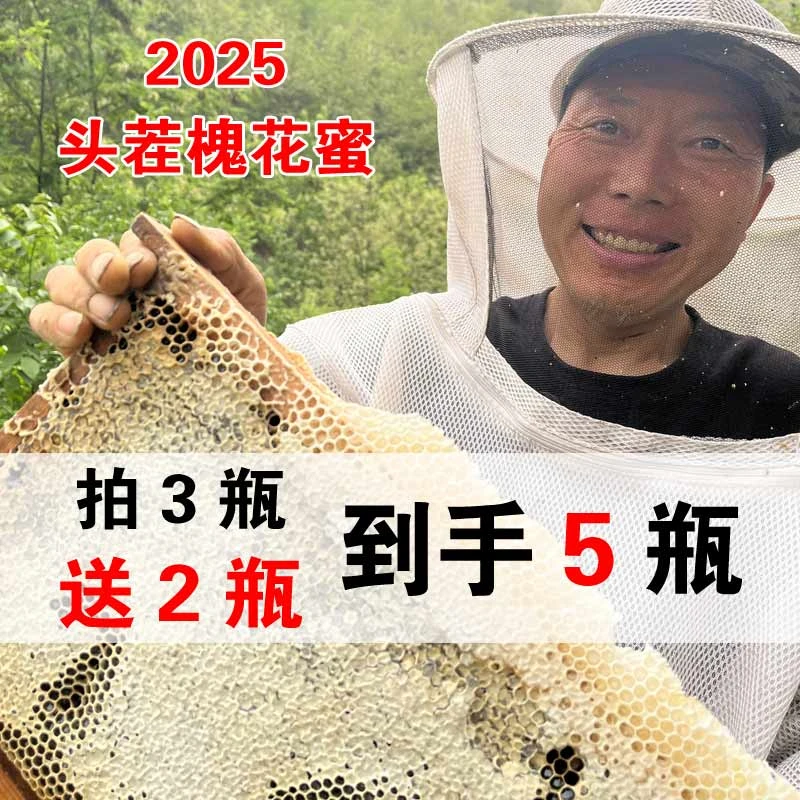 四大名蜜之首纯正槐花蜜 秦岭深山槐花蜜500g一瓶 美味健康食用