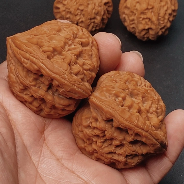 辉***核桃虎头王45尺核桃