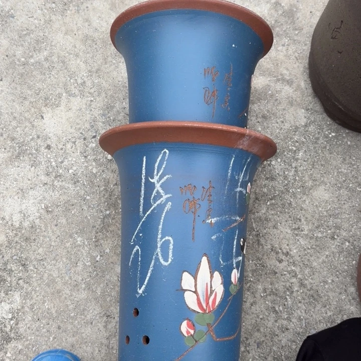 花盆紫砂紫砂的花