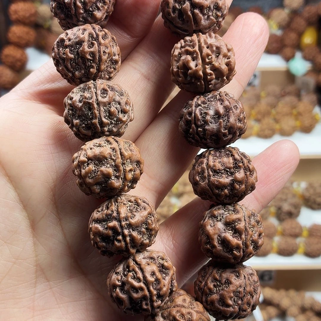 手串金刚菩提稀有精品梅花千金盘龙