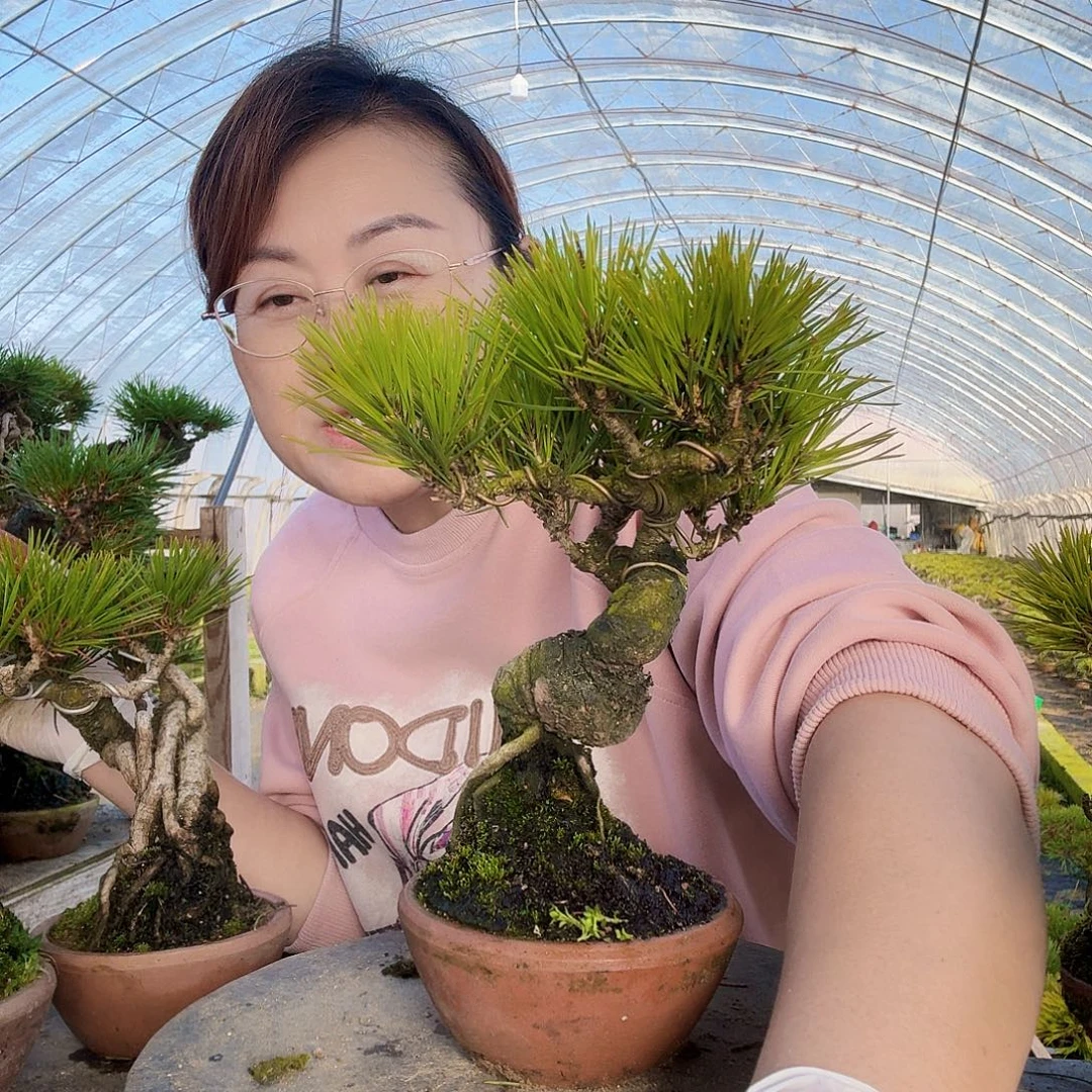 彩***鱼完全开放三河黑松