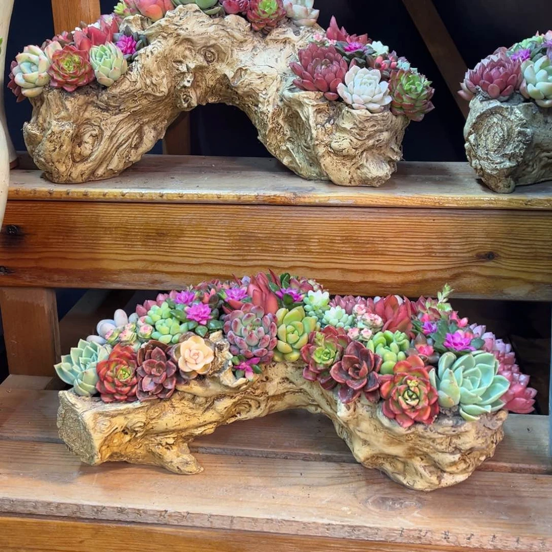 这个是木桩好看啊