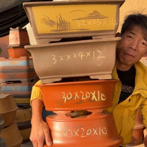 花盆紫砂特价特价包邮