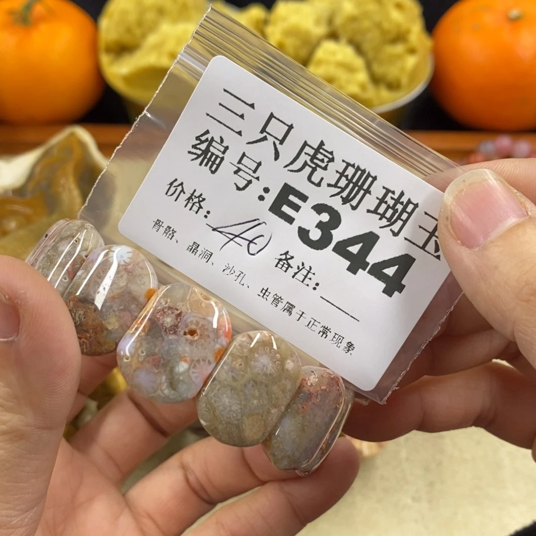 硅化珊瑚（珊瑚玉）1未镶嵌乌****子