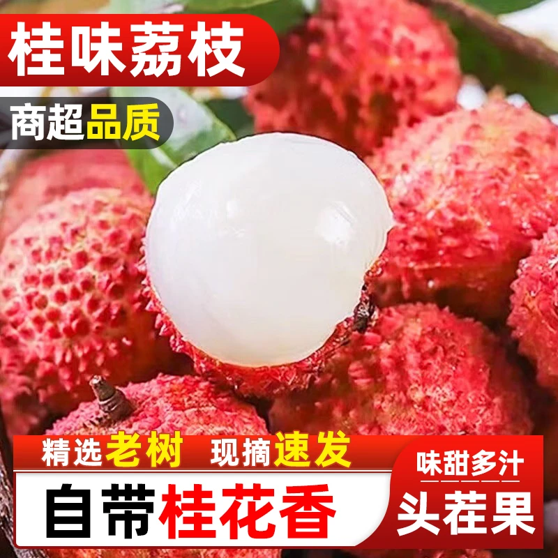 【冷链速运】正宗广西灵山桂味荔枝 当季新鲜水果现摘老树清甜517