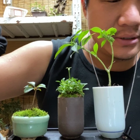 红陶芜*一物一拍所见即所得62