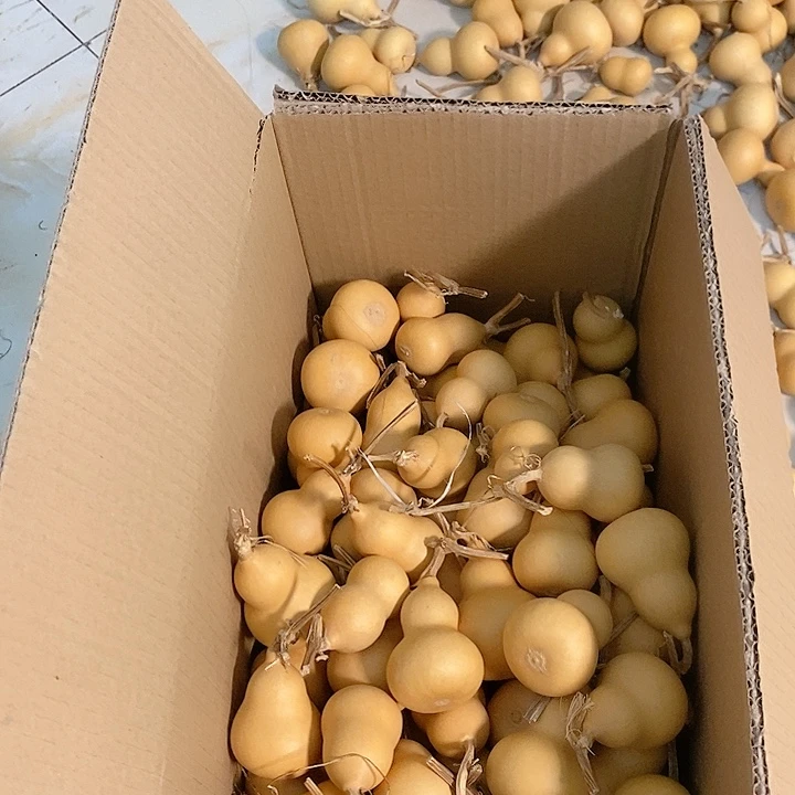 小****?挑选100个胖墩链接