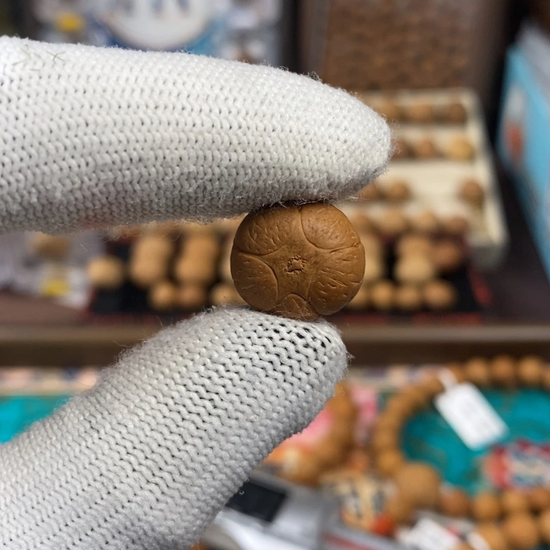 吊坠凤眼菩提16五星单颗