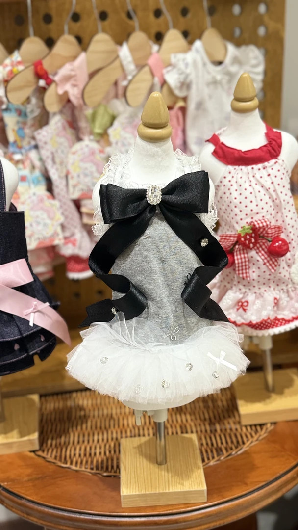 小型幼犬比熊泰迪约克夏博美宠物裙子公主风狗狗衣服