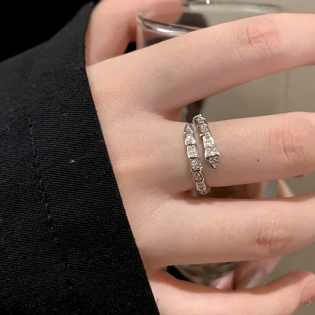 灵蛇形戒指女轻奢高级感开口食指戒冷淡风时尚个性指环小众饰品