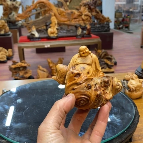 柏木（崖柏）太行崖柏