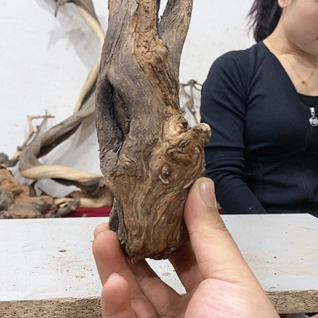 【闪购商品】柏木雷*海我们都是好孩子