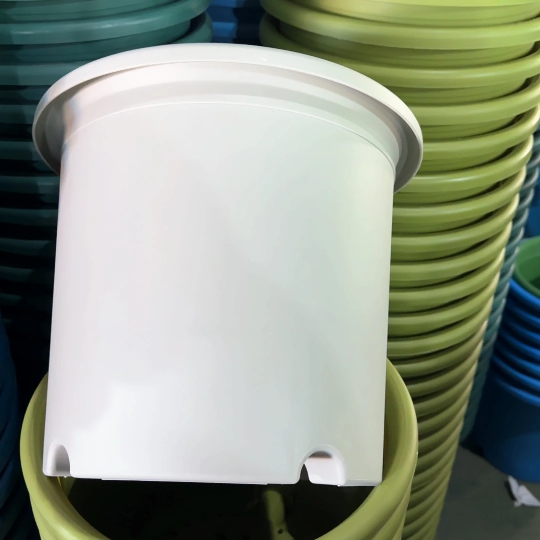 树脂特价6#无拖灰白7个