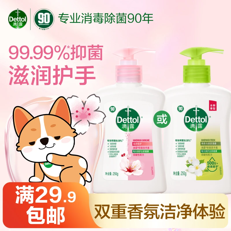 滴露洗手液抑菌250g滋润清洁儿童大人可用洗手液抑菌滋润护手家用